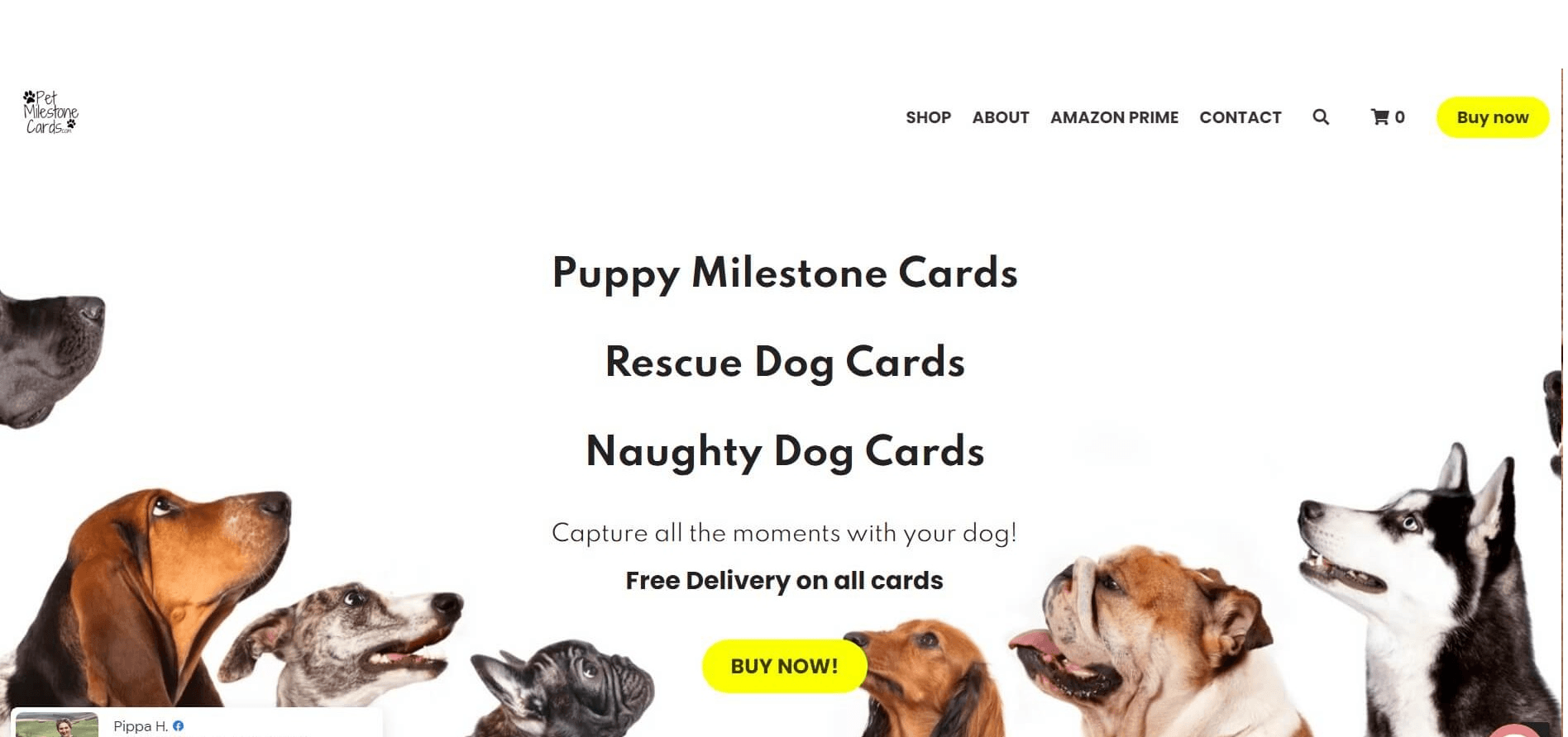 適合以白標產品形式銷售的寵物配飾 適合以白標產品形式銷售的寵物配飾